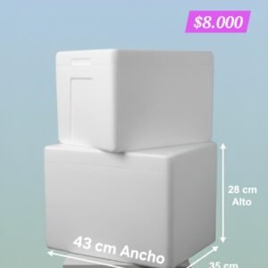 Conservadora reforzada